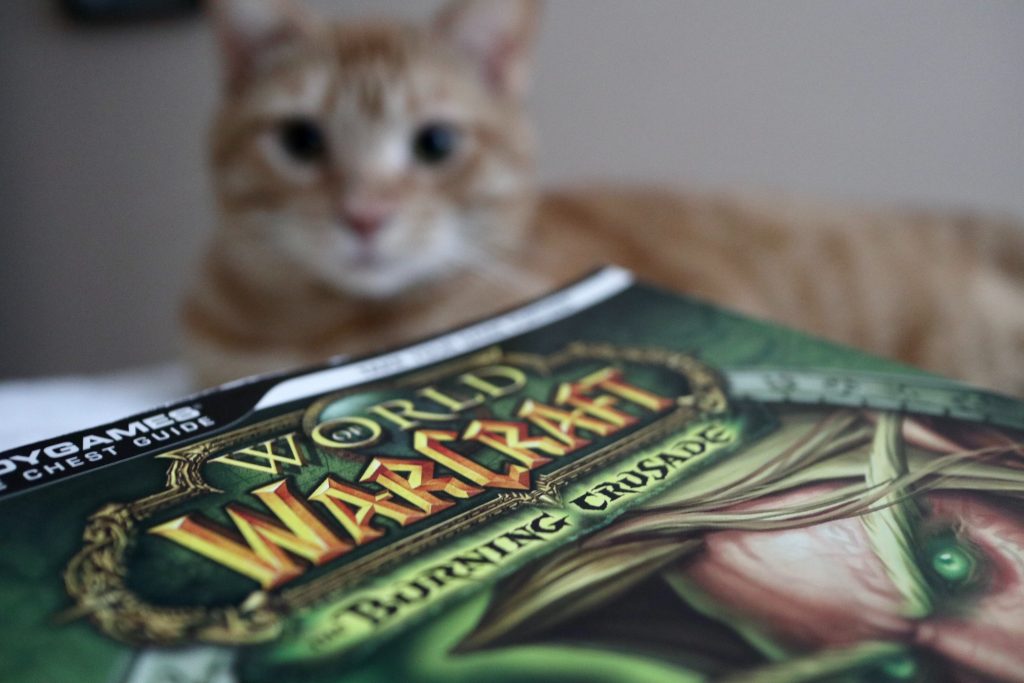 A photo of a World of Warcraft strategy guide. WoW was AtheneWins's game of choice